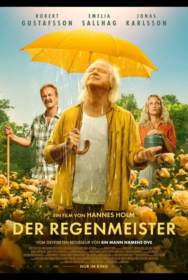 Filmplakat des Films Der Regenmeister