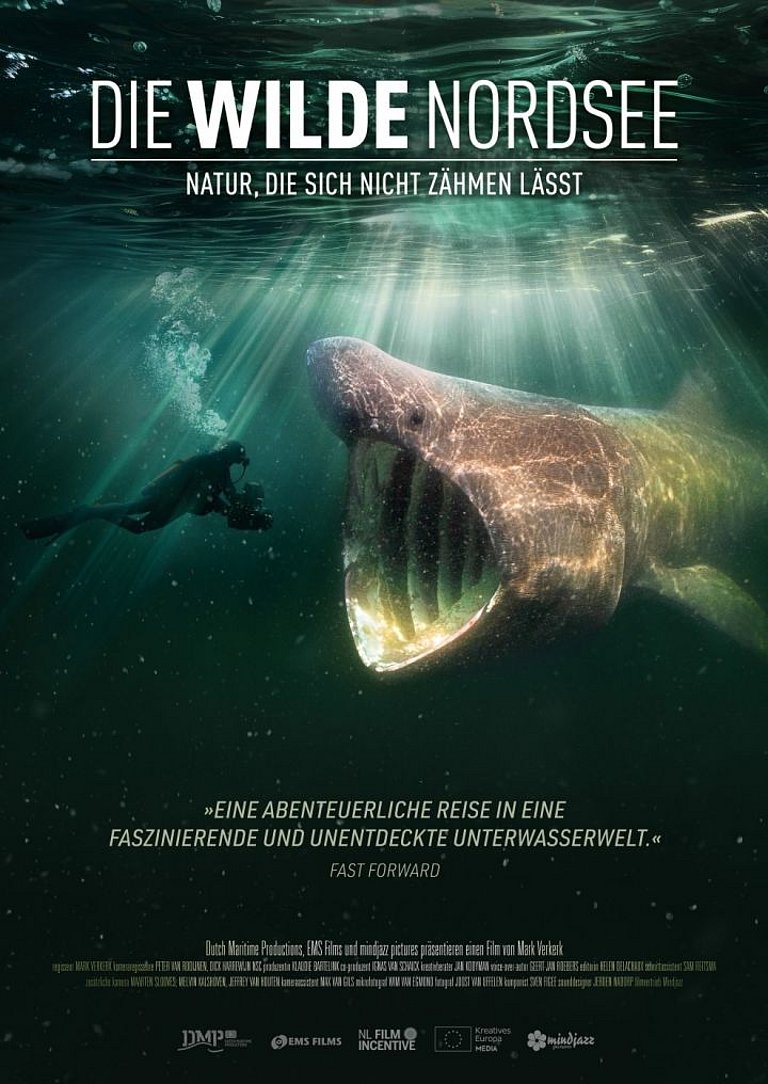 Filmplakat des Films Die wilde Nordsee - Natur, die sich nicht zähmen lässt